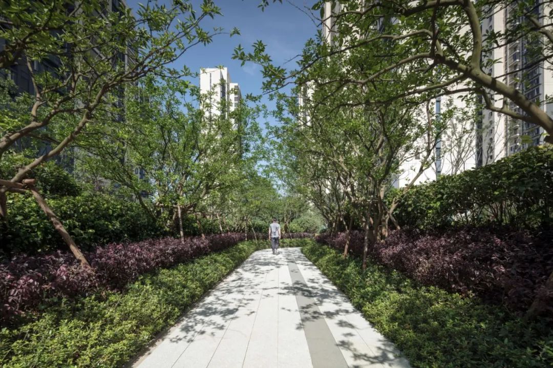 株洲金茂悦丨中国株洲丨LAURENT罗朗景观-30