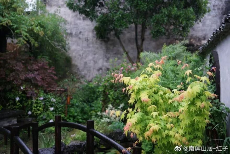 辞去工作,历时7个月,他们过上了有院子,有诗和远方的生活-68