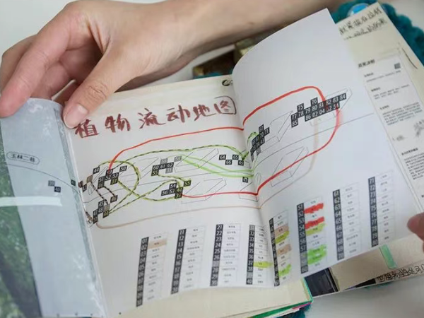 CACPA|花花花画画画-14