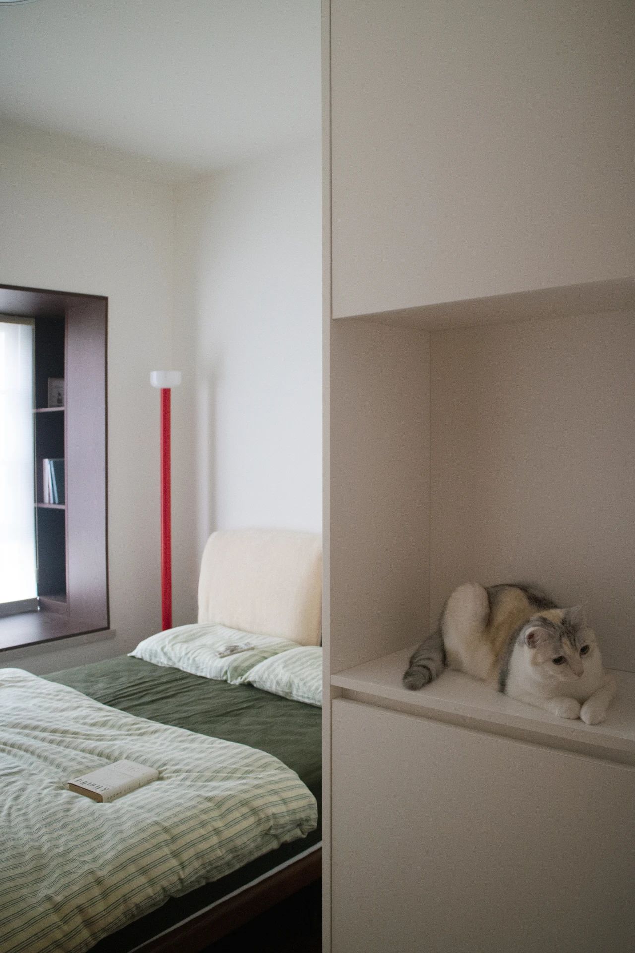 这家有猫丨中国汕头丨OC studio-51