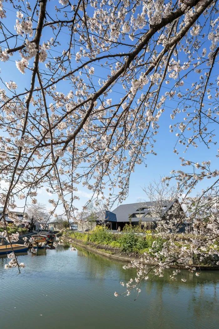 日本 Hideout 画廊丨日本滋贺丨Hearth Architects-27