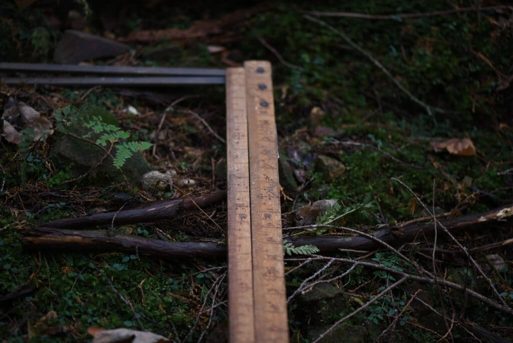 一宮の石場建て１　大黒柱伐採丨水野設計室-15