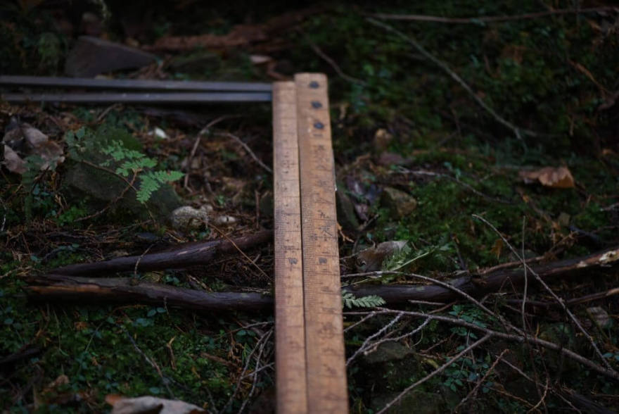 一宮の石場建て1 大黒柱伐採丨水野設計室-15