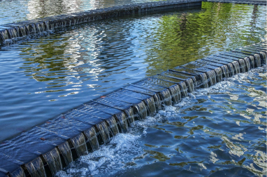 上海科技大学-66