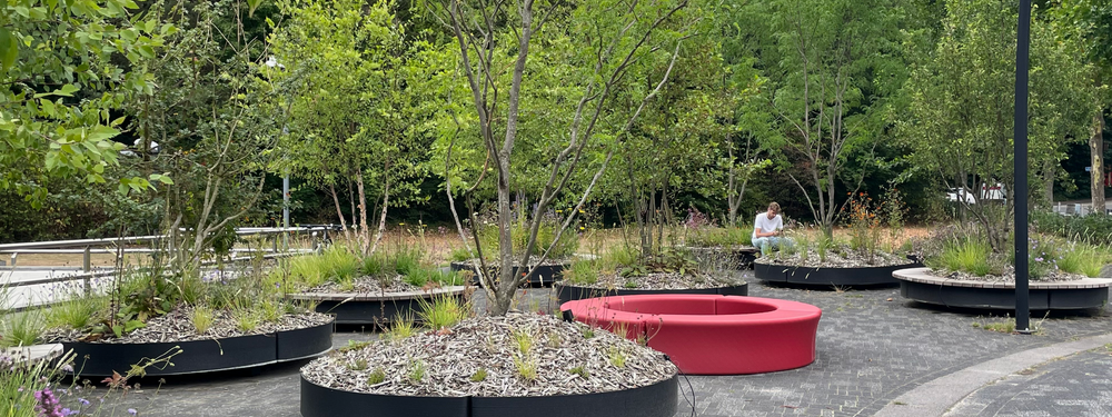 NOS  绿化新闻广场及露台丨荷兰丨NOS  Grasveld 园林与景观建筑师事务所-24