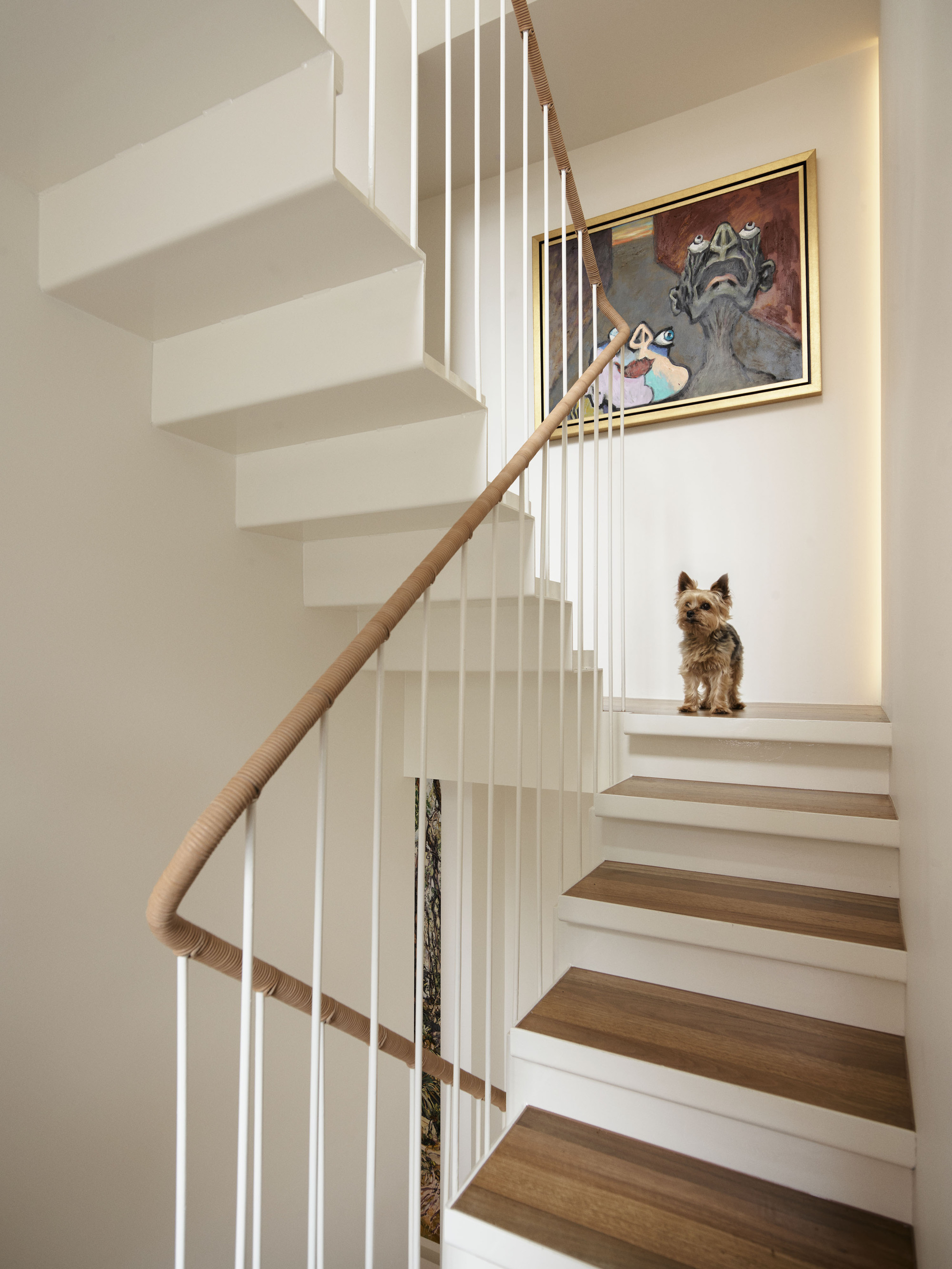 丨澳大利亚新南威尔士丨SJB-41