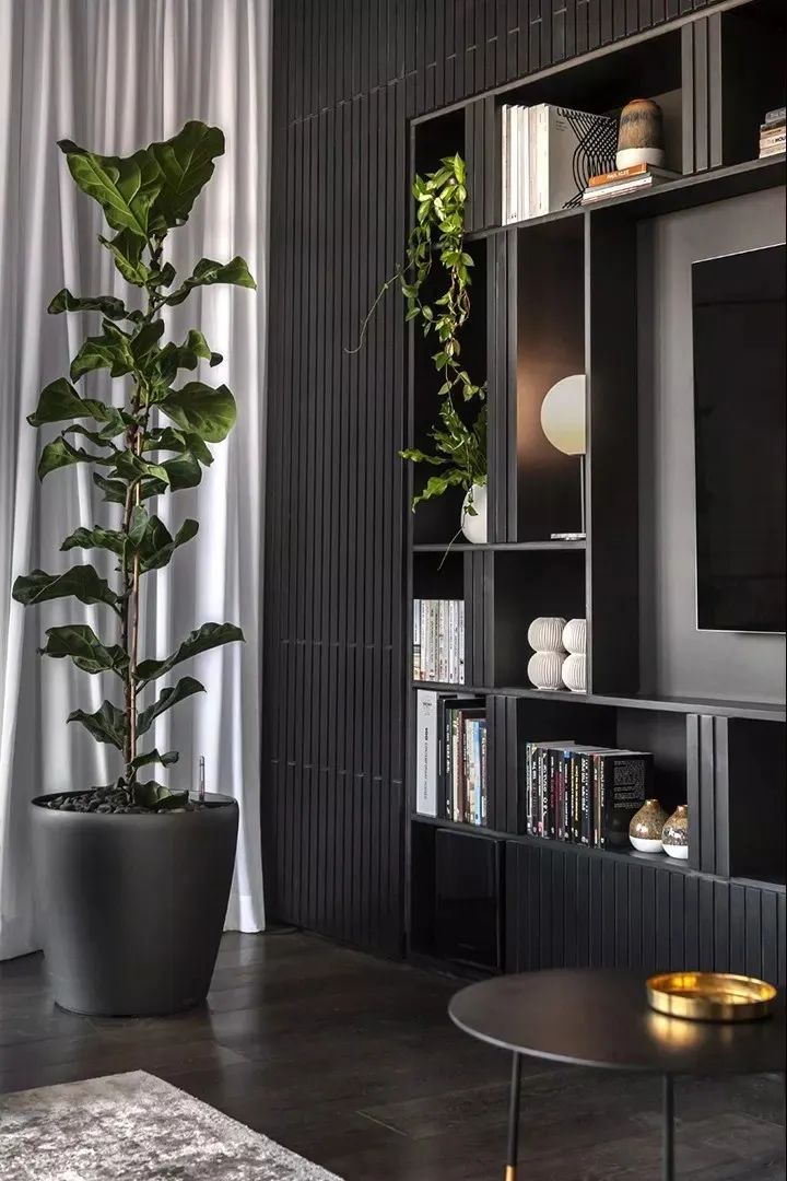 Aviram Kushmirski 打造轻奢风空间，黑白色调与实木地板的完美搭配-122