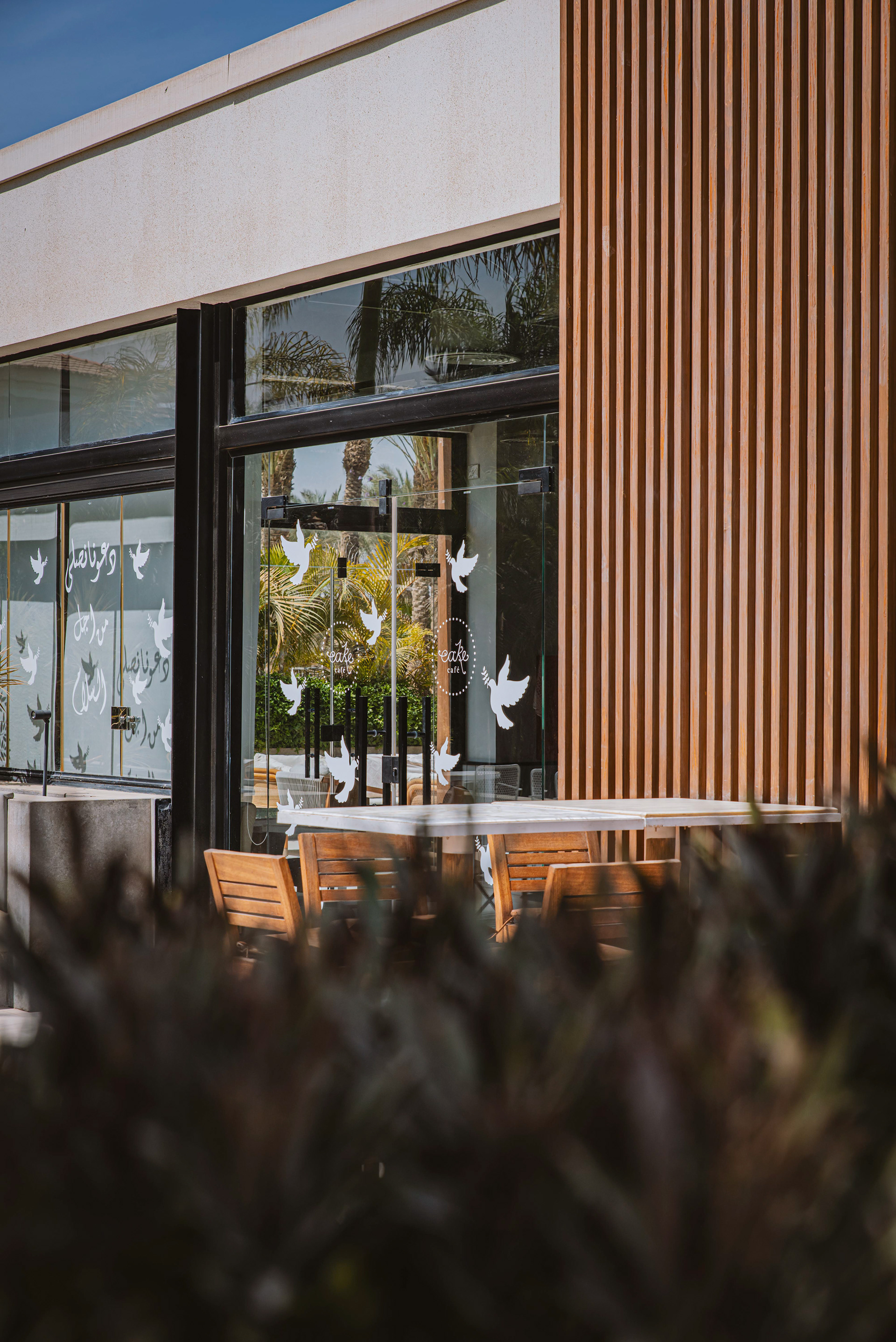 Cake Cafe - SWAN LAKE-31