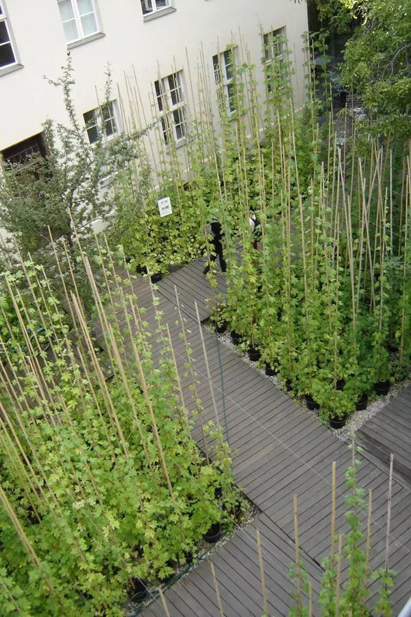 田园拾趣——汉卿菜园设计-16