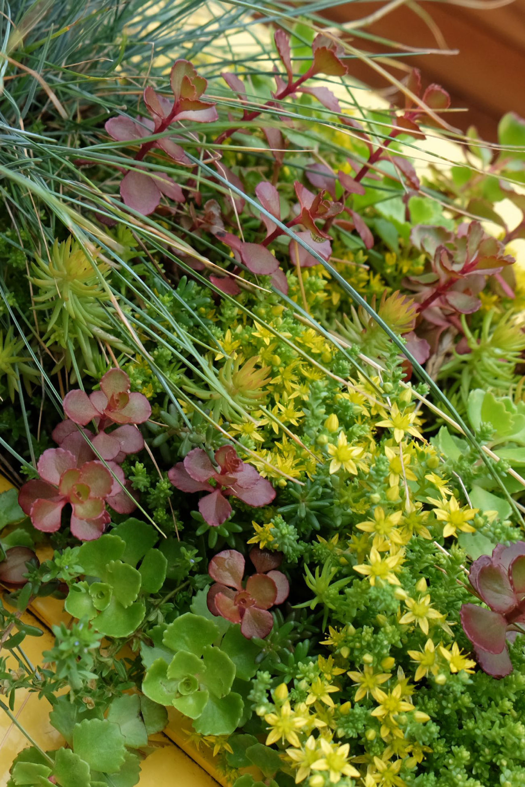 丨美国芝加哥-40