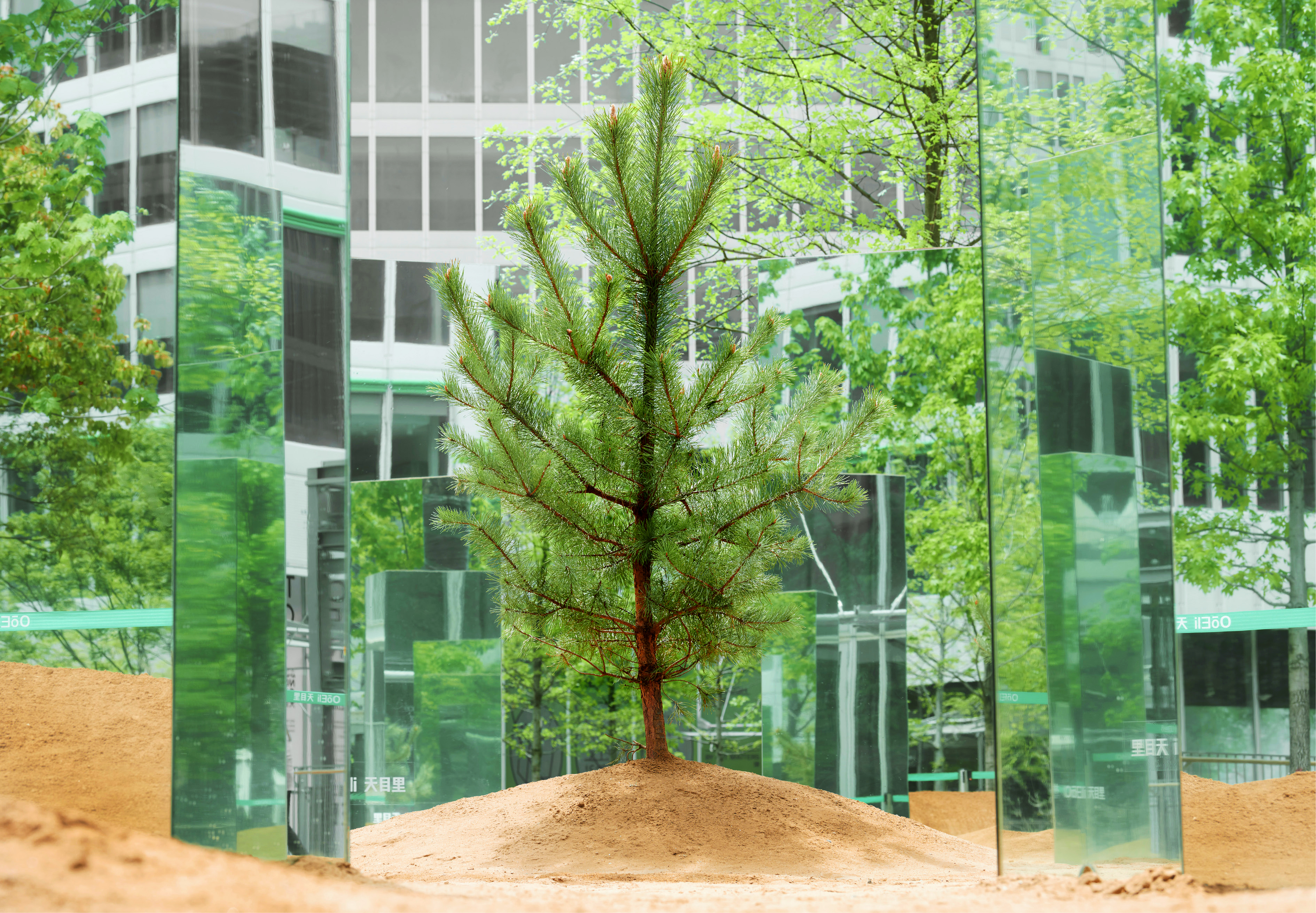 杭州天目里绿色嘉年华「森林里」丨中国杭州丨蚂蚁森林,杭州天目里,不是美术馆-24