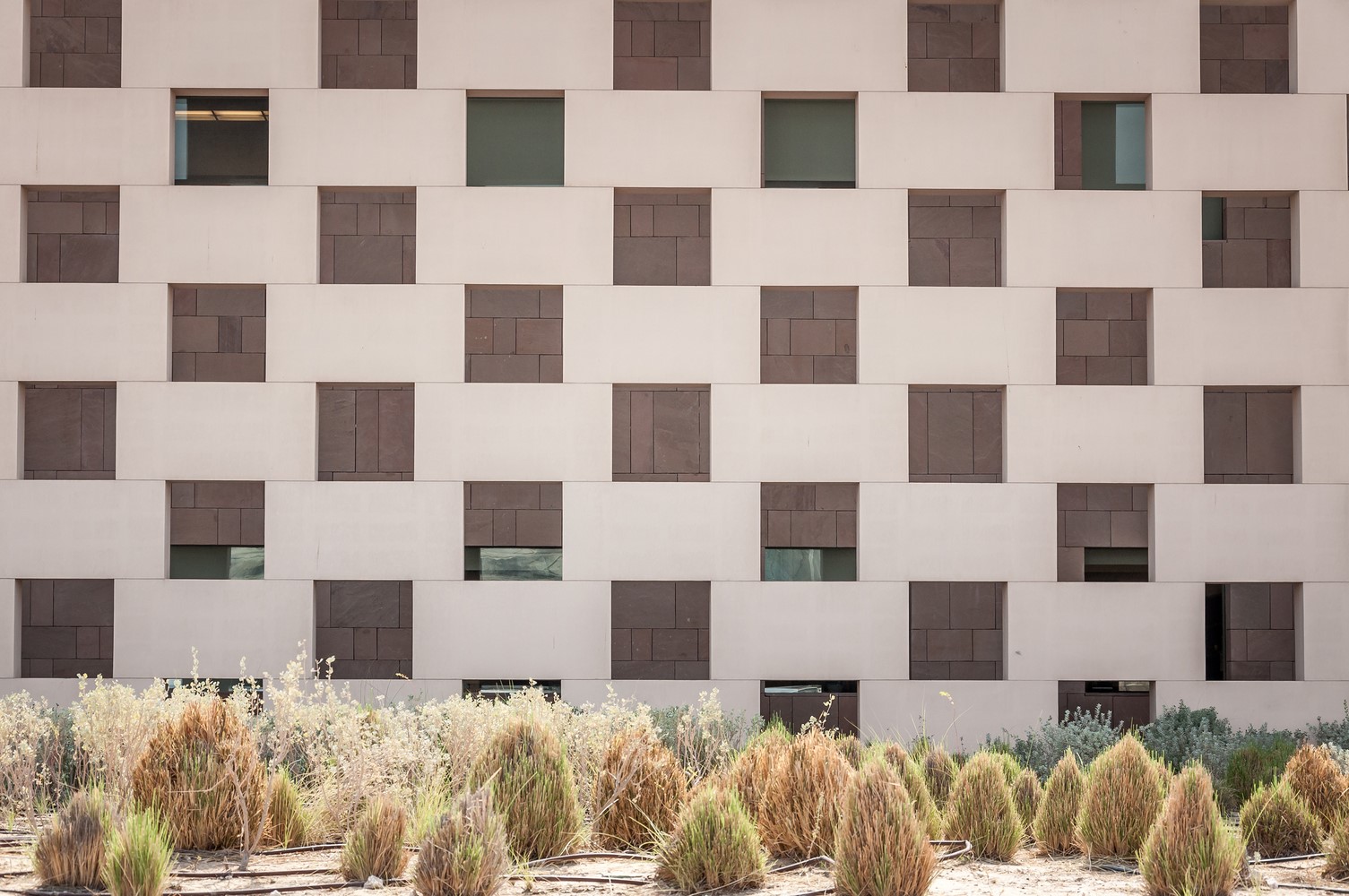 LEGORRETA 的卡塔尔乔治敦大学设计-14