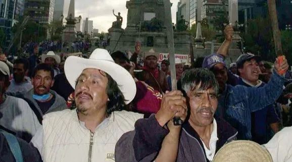 麻省理工科技评论：世界最大烂尾机场的再野化之路-75