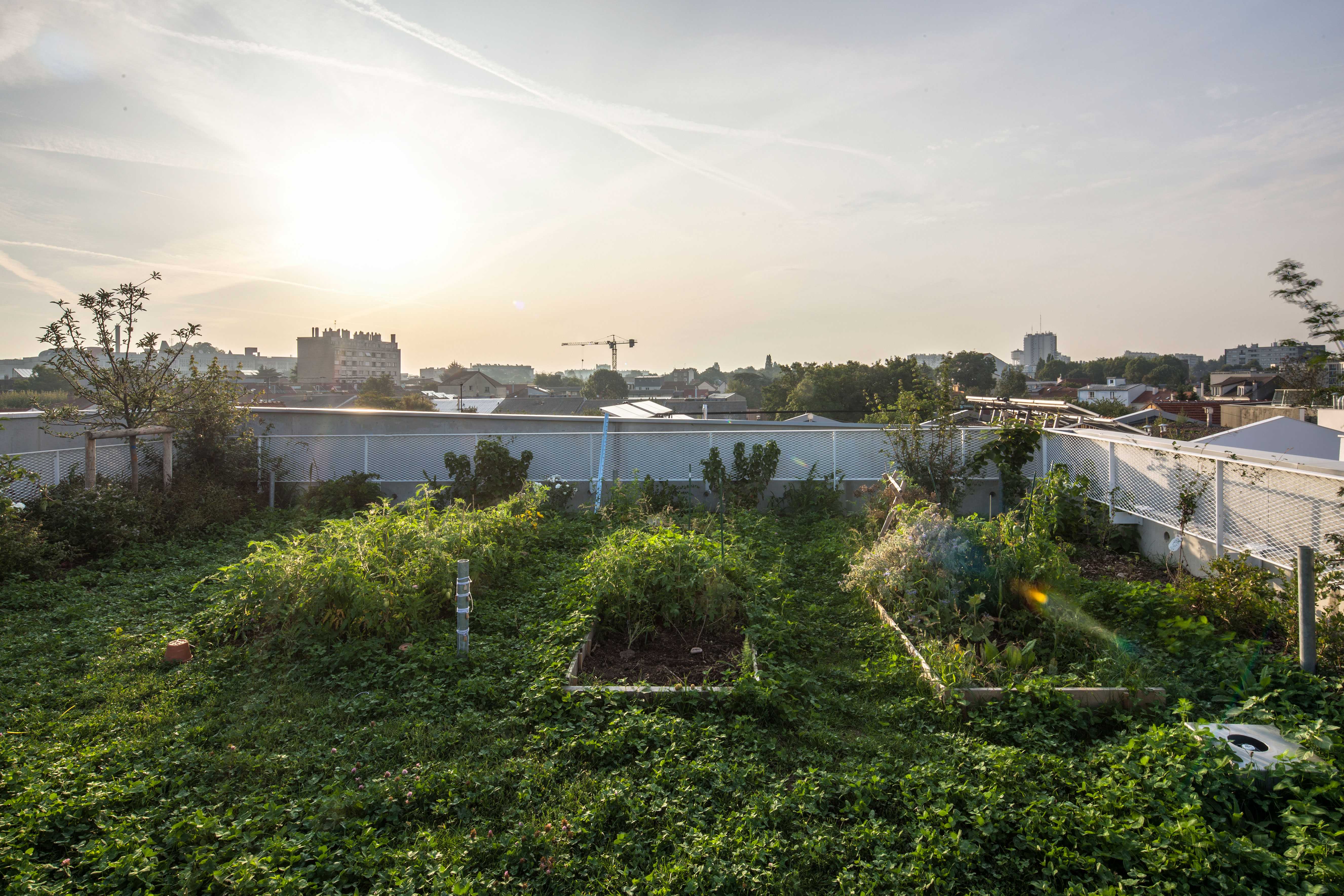 参与性栖息地 | 蒙特雷伊的共享生活空间-32