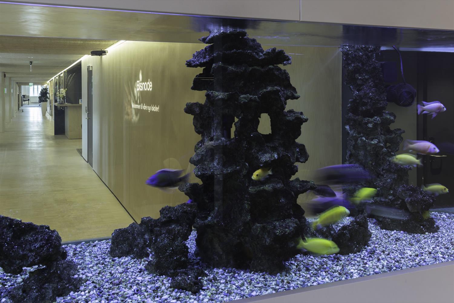 斯诺赫塔建筑事务所 20-15