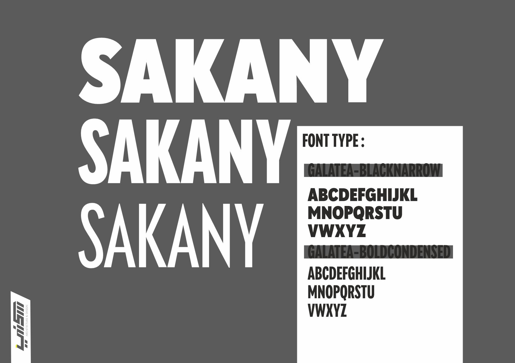 sakany logo-6