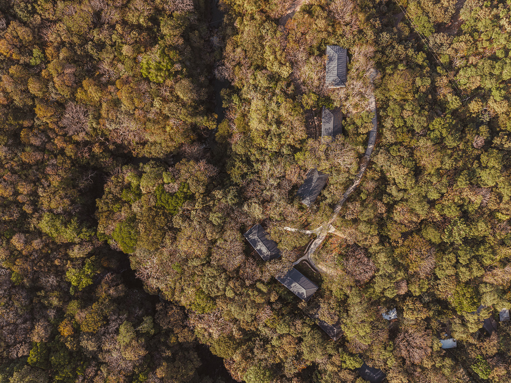 Rio Perdido西侧小屋丨哥斯达黎加丨Studio Saxe(建筑),Dania Saragovia(室内)-90