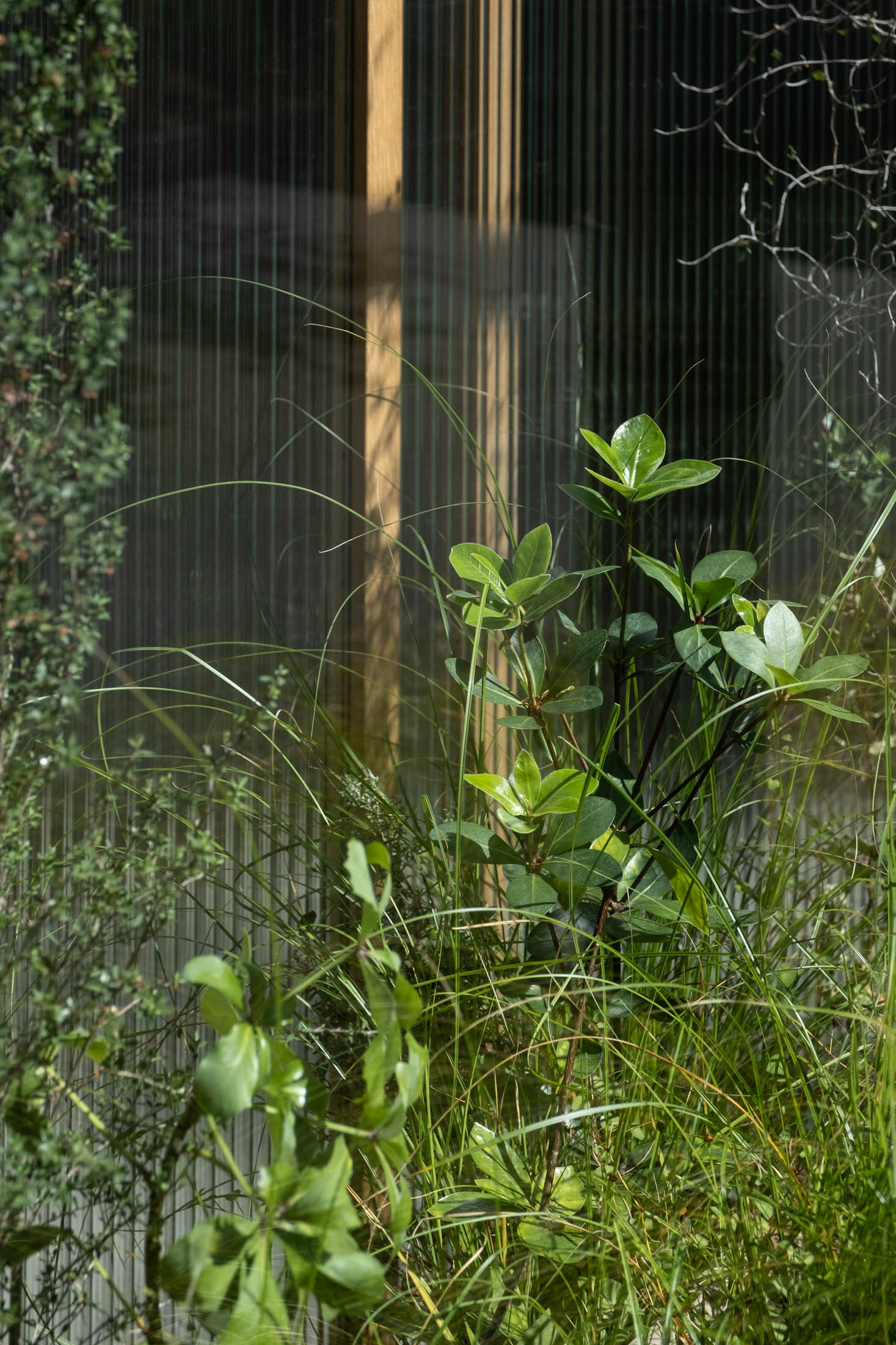 Maggie Marilyn - Xanthe White Design-8