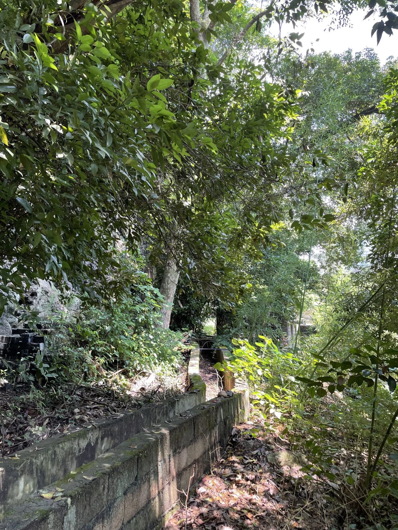 阳朔糖舍曲水餐厅丨中国桂林丨郭廖辉建筑工作室-84