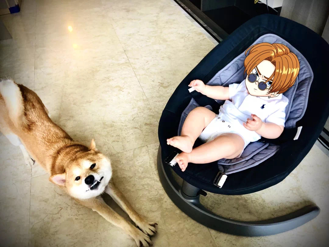 成都年轻夫妻的温馨家居,有娃有汪有爱-5