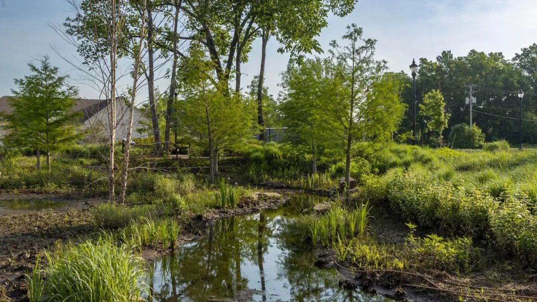 阿肯色州康威市市中心的马丁·路德·金广场丨美国丨SWA-3