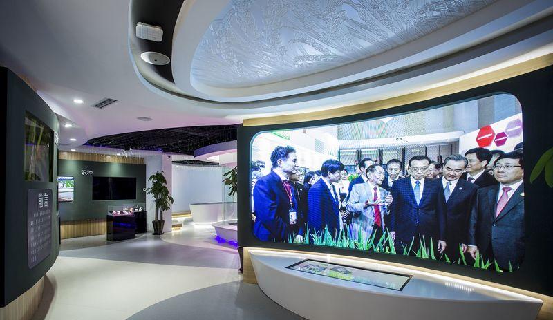 海水稻科技展厅，现代科技与传统水稻文化的完美融合，农业展厅-3