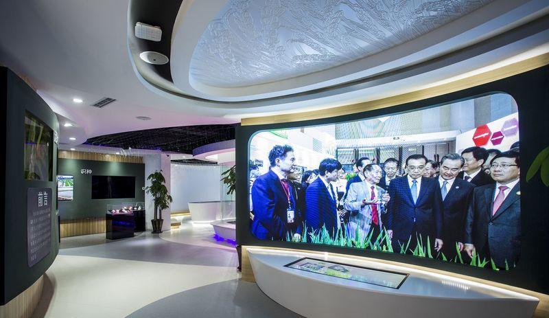 海水稻科技展厅,现代科技与传统水稻文化的完美融合,农业展厅-3