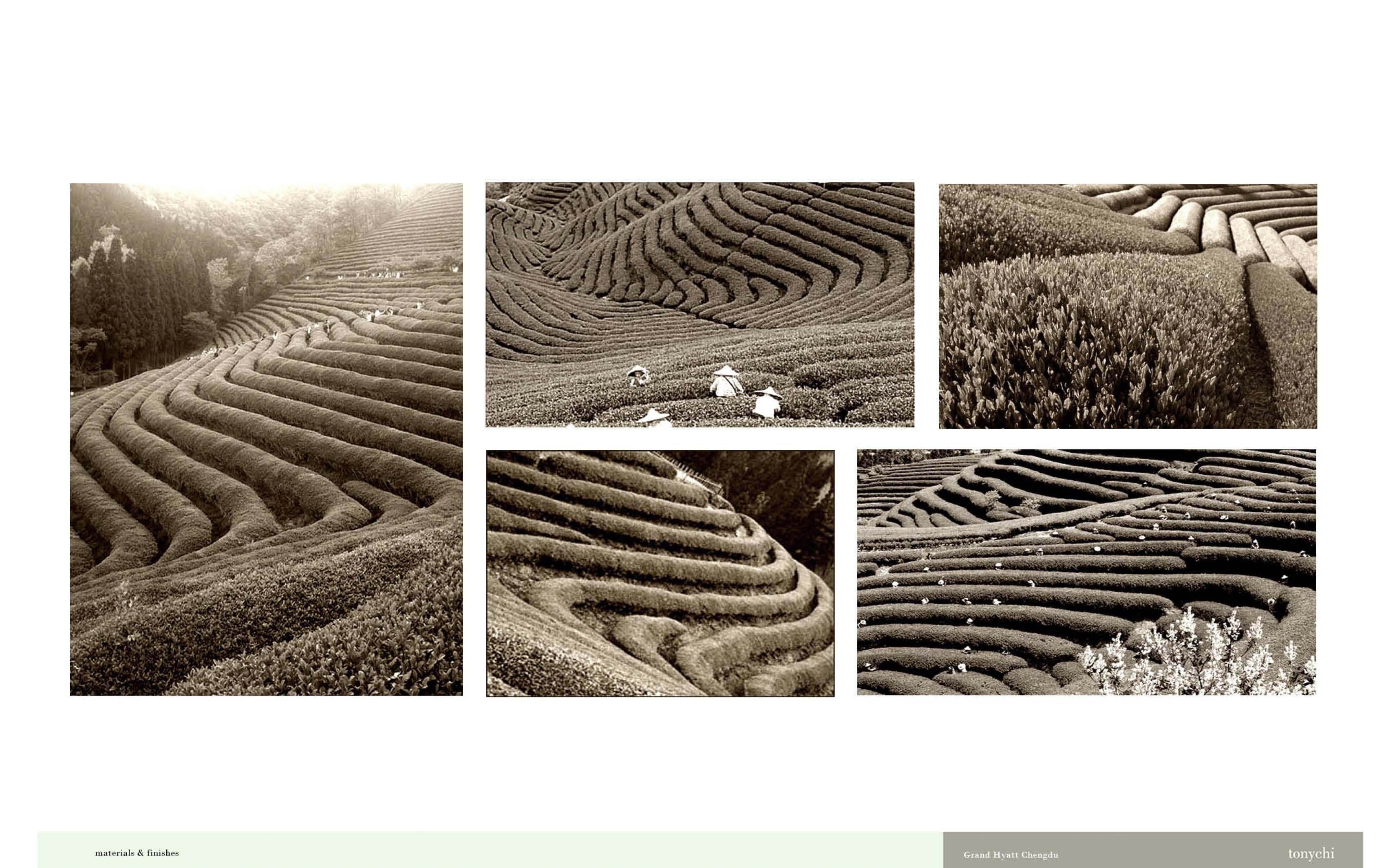 成都君悦酒店方案概念设计-2-6