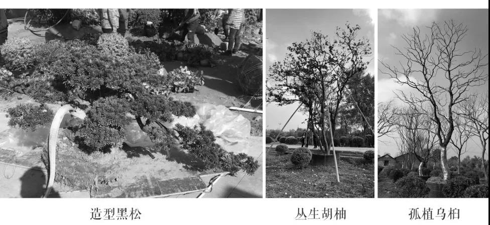 荣安·春熙上和湾丨中国杭州丨杭州木杉景观设计有限公司-52