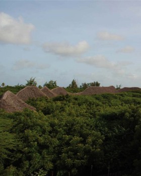 肯尼亚红辣椒住宅