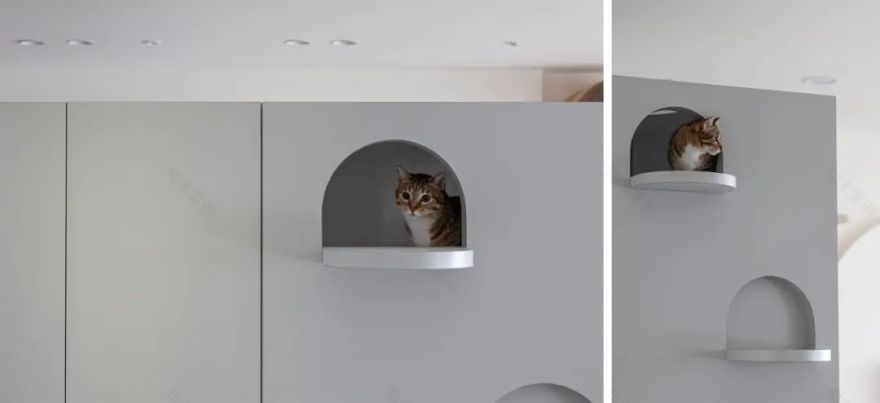 120㎡猫奴的家,温润自由的开心乐园!-22