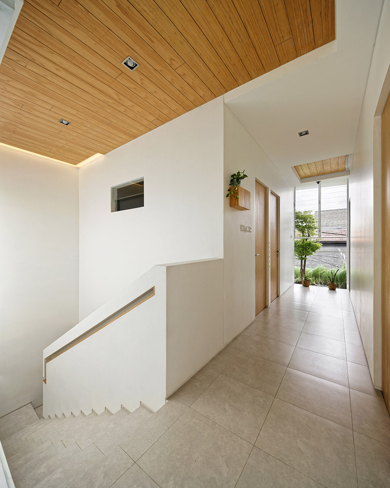 Inset House  Delution architect-66