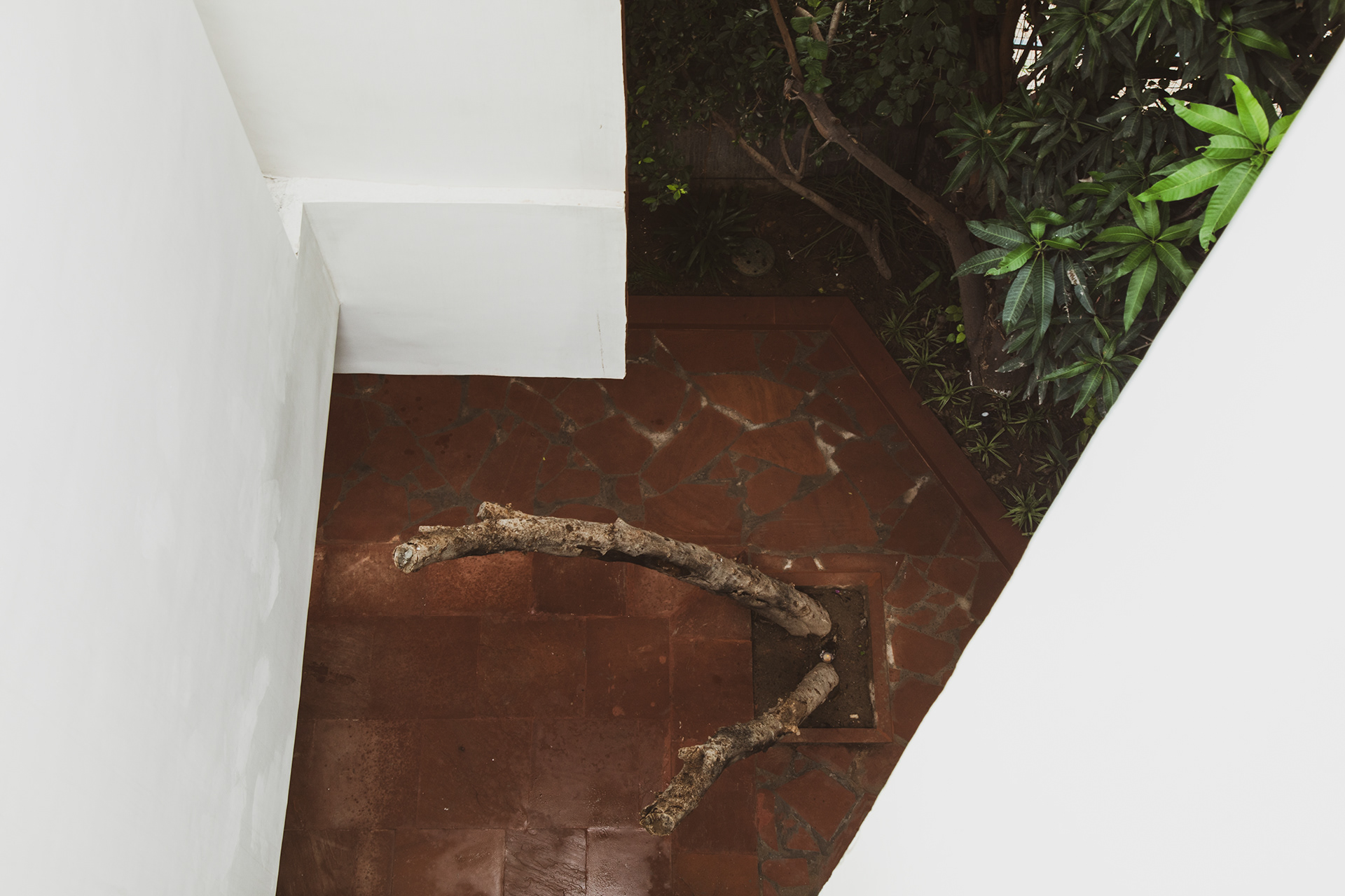 House With 49 Trees RENESA-28