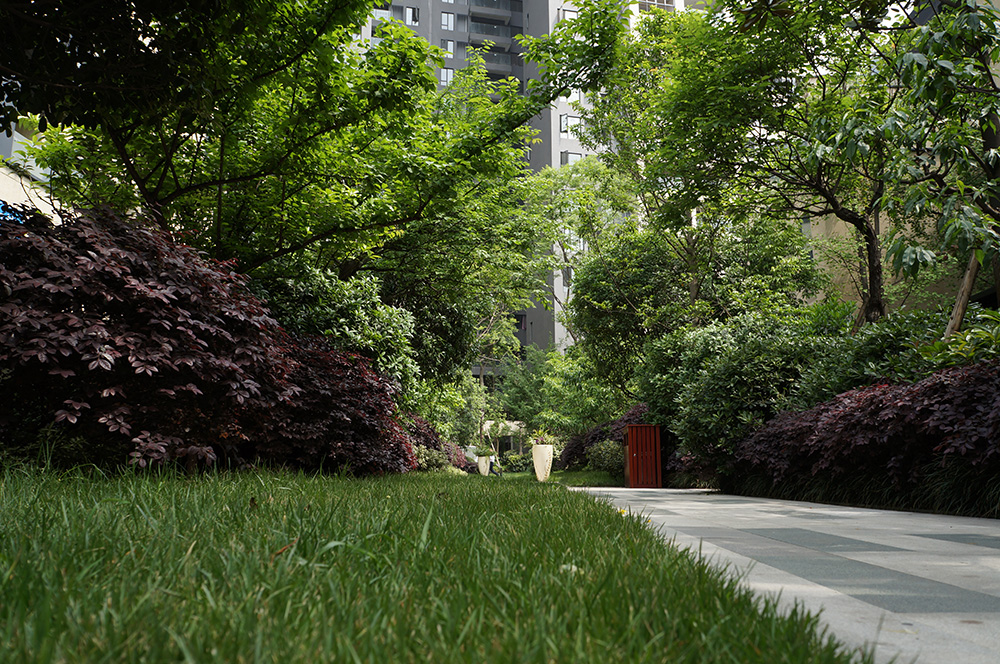 成都博瑞优品道丨L&A Design Group-15