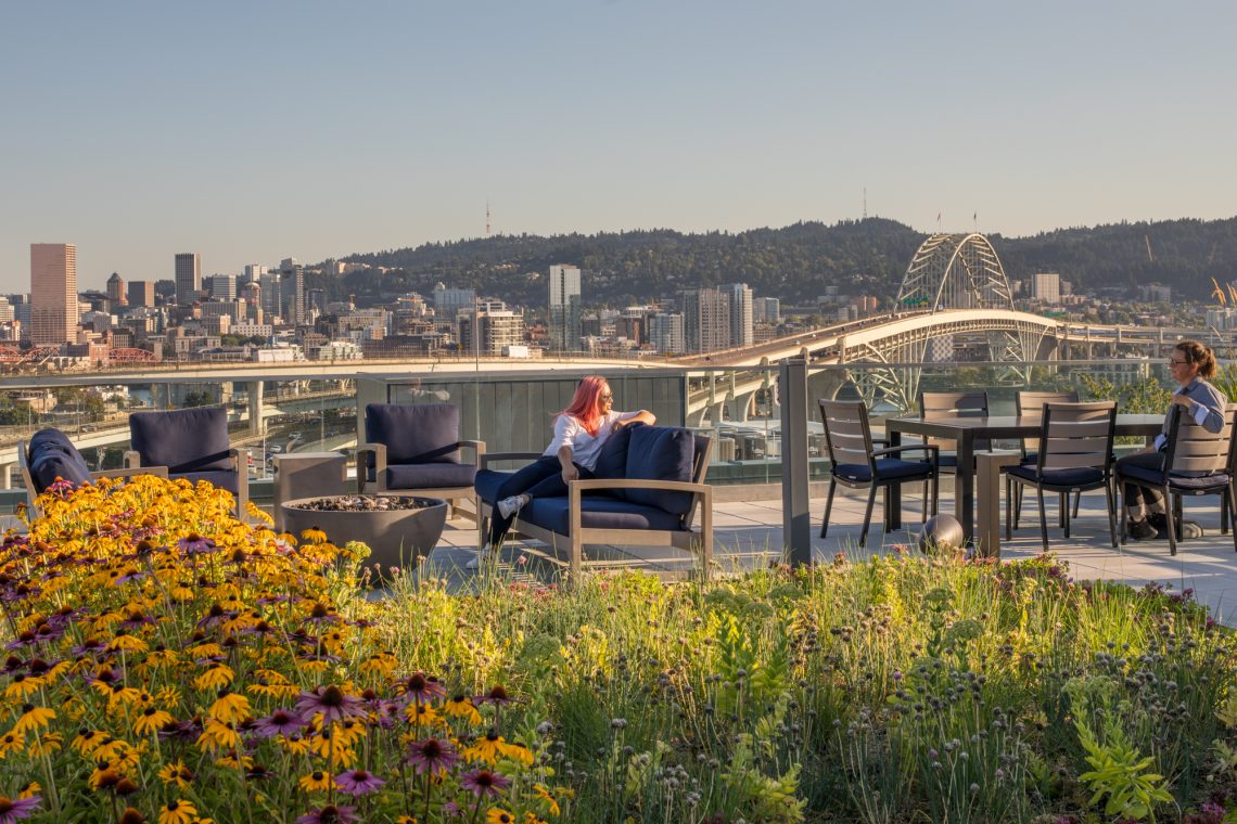 丨United StatesPortland丨Shapiro Didway-7