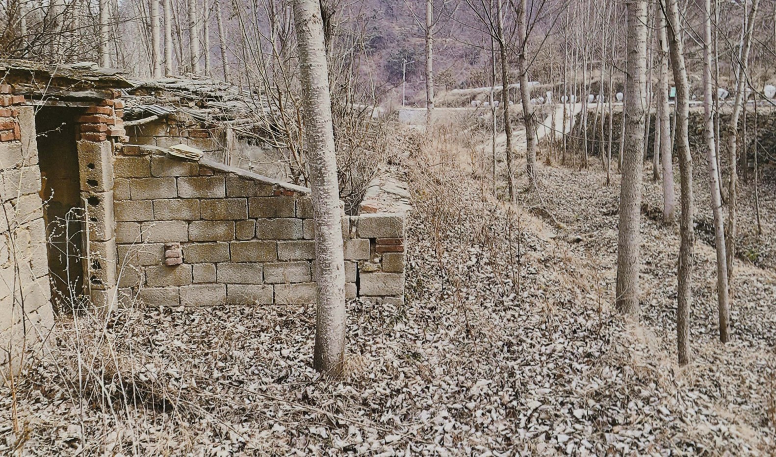 山东泰山东溪门村复兴项目 · 百年乡村的针灸式建筑更新-67