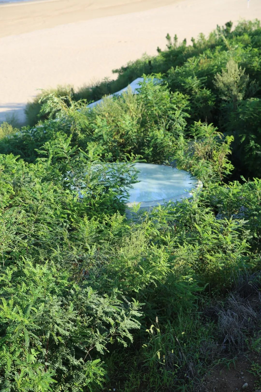 阿那亚的海、建筑与艺术 | 探索海边孤独的图书馆与礼堂-74