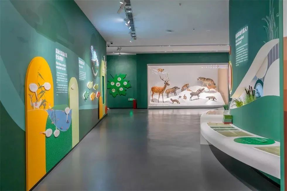 中国大运河博物馆展厅丨中国扬州丨苏州金螳螂文化发展股份有限公司-32