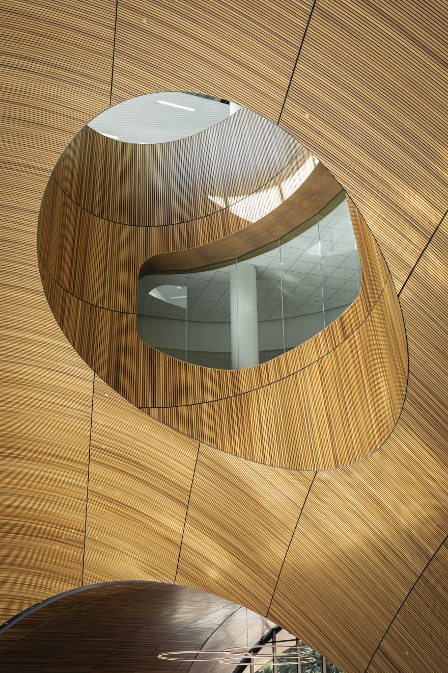 天普大学查尔斯图书馆-19