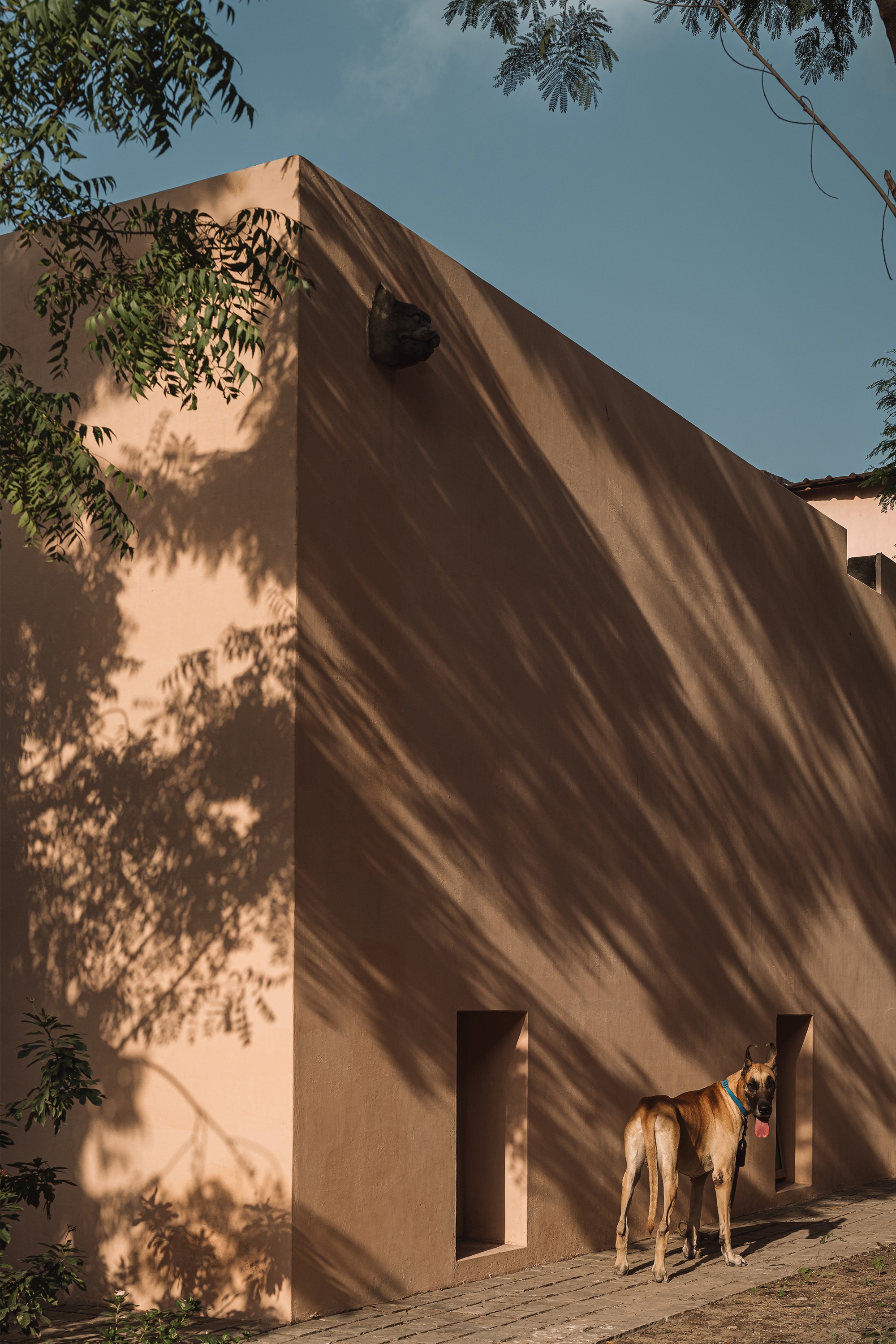 Mana 办公室丨IKSOI Design Studio-11