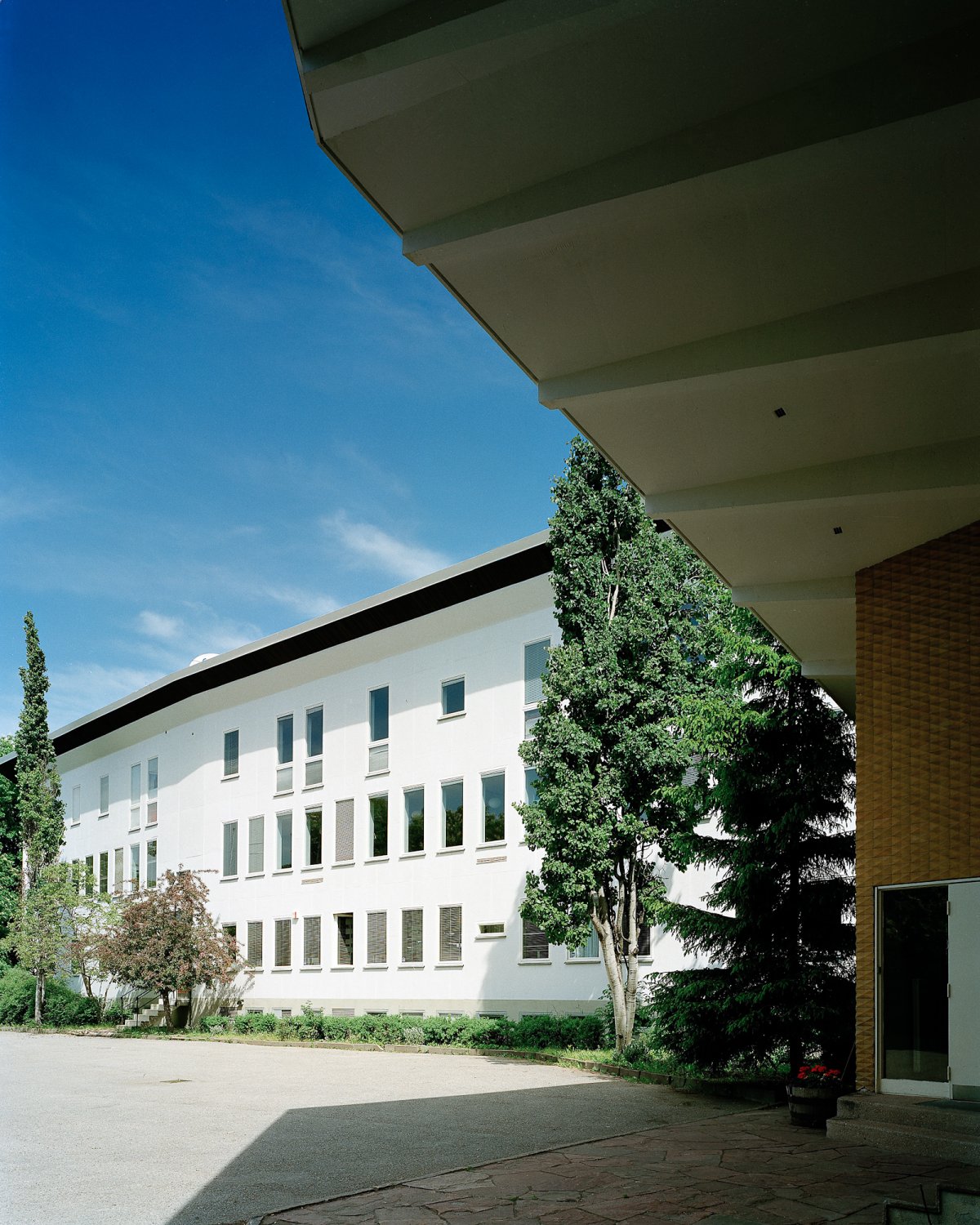 意大利文化研究院-2