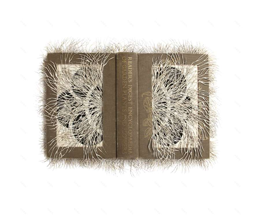 纸的雕塑之美 | Barbara Wildenboer 的艺术创作-13