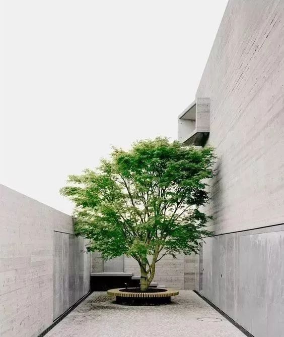 简约而不简单-29