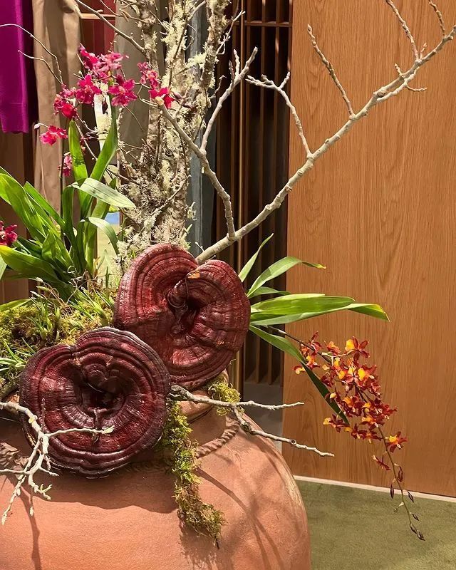 Loewe 多伦多首家独立门店丨加拿大多伦多-7