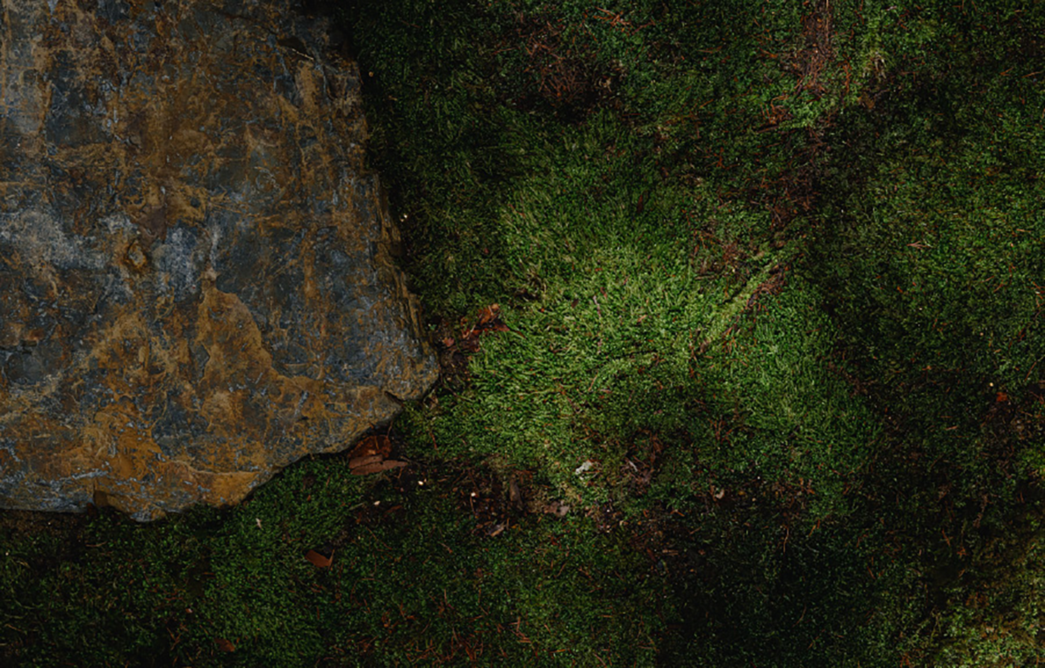 长野之家丨日本长野丨Tomoko Fukayama,熊谷隆-22