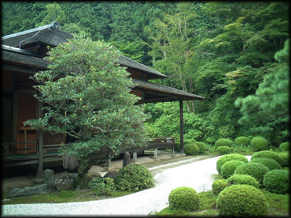 曼殊院门迹丨日本京都丨无明确信息-17