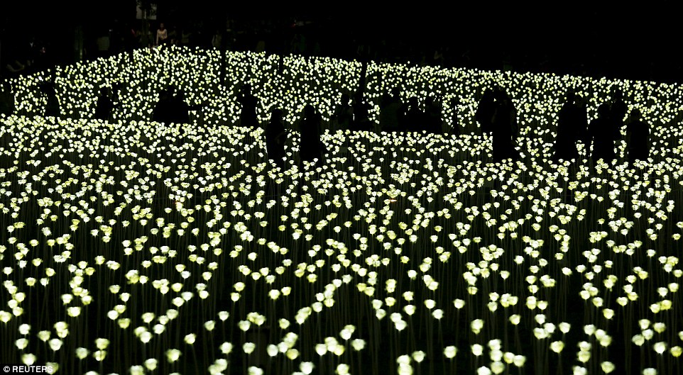 Light Rose Garden HK 玫瑰灯海园 – 香港站-19