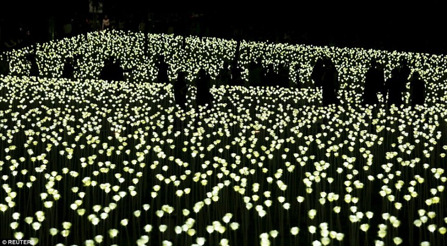 Light Rose Garden HK 玫瑰灯海园 – 香港站-19