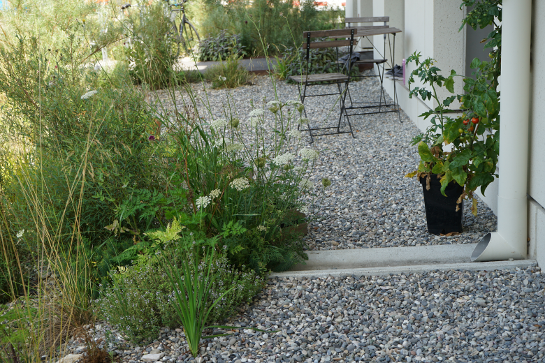 Berchtold.Lenzin Landschaftsarchitekten丨Wohnüberbauung Bachgraben丨瑞士-4