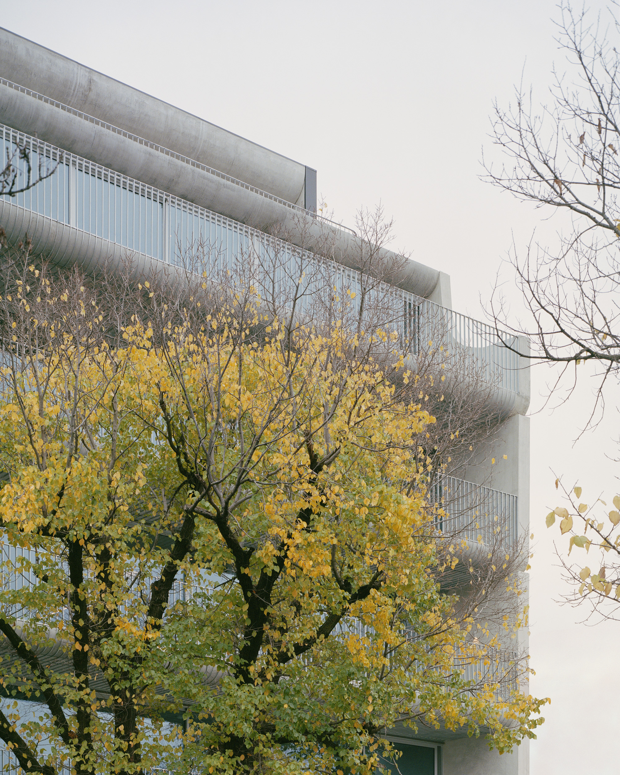 纳皮尔街 231 号住宅楼丨澳大利亚丨Edition Office-31